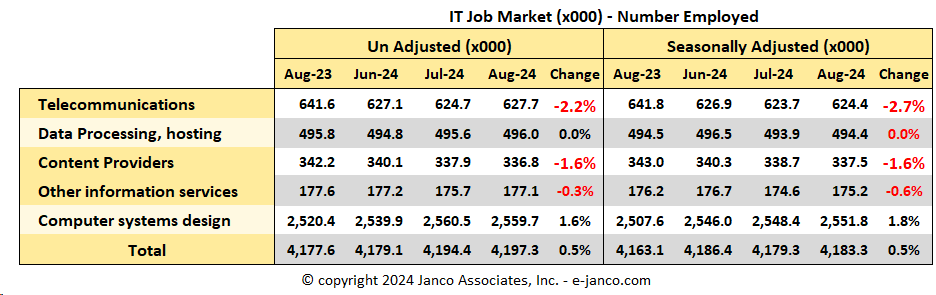 IT Job Market Size