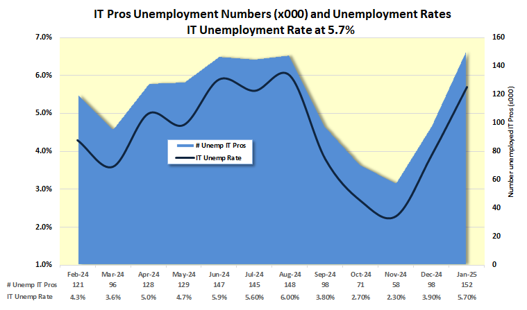 Unemployed IT Professionals