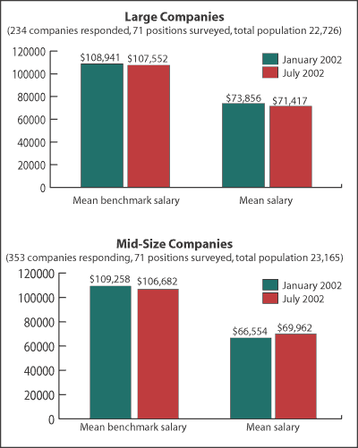 Large Company Compensation