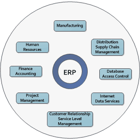 ERP Staffing Recommendations