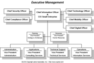 Executive Management Roles in IT