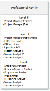 System Analyst Job Family Classification