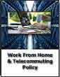 Telecommuting Advantages