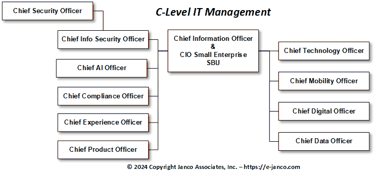 C-Level Management Organization Chart