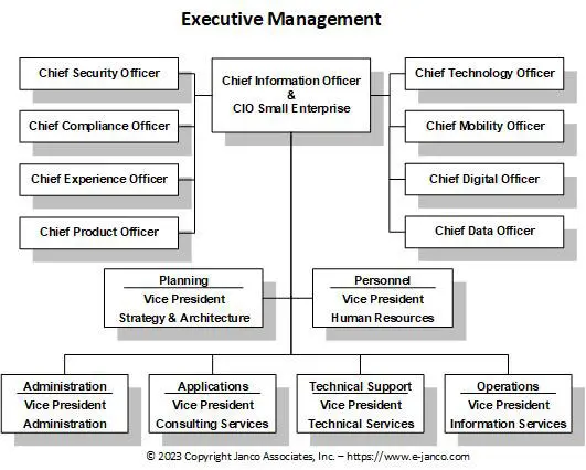 IT Executive Management Organization Chart