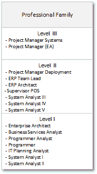 System Analst Job Class job descriptions