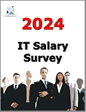 2013 IT Salary Survey